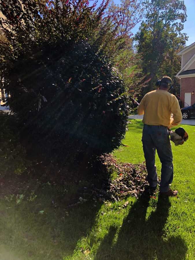 Capstone Landscapes crew member blowing off a lawn after mowing in Wake Forest, NC
