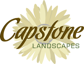 Capstone Landscapes