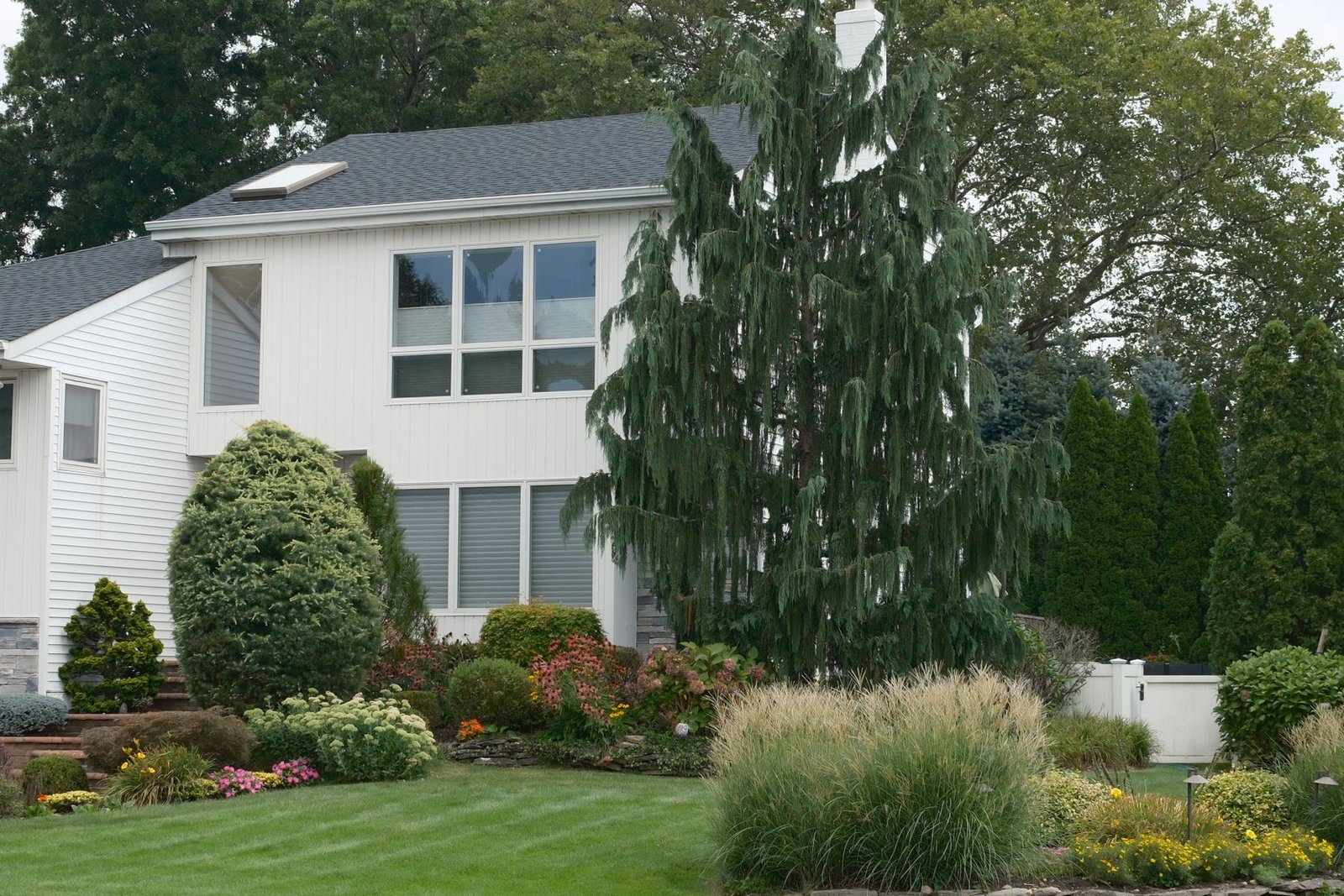 Suburban home with full foundation landscaping and green lawn