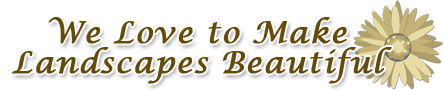 We Love to Make Landscapes Beautiful